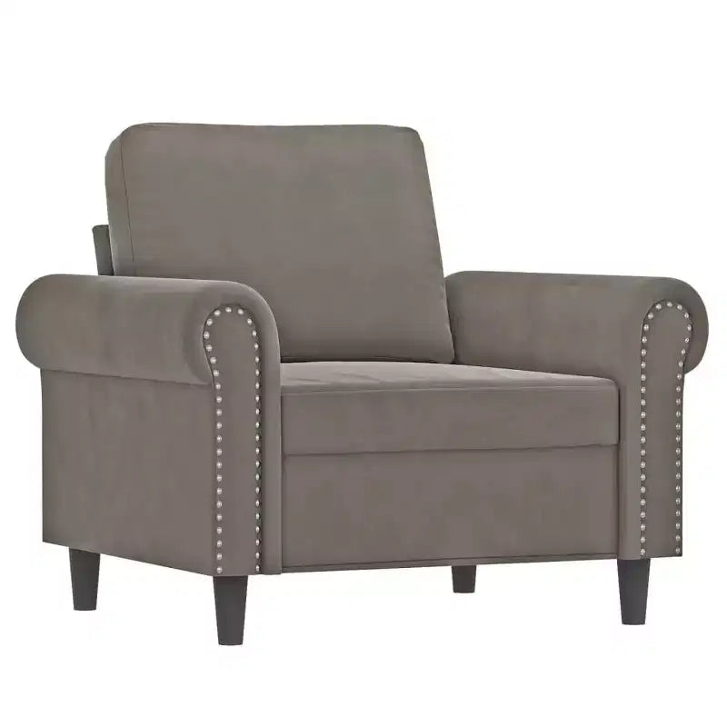 vidaXL Sofa Chair Light Gray Velvet (100% polyester), Plywood, Metal, Foam