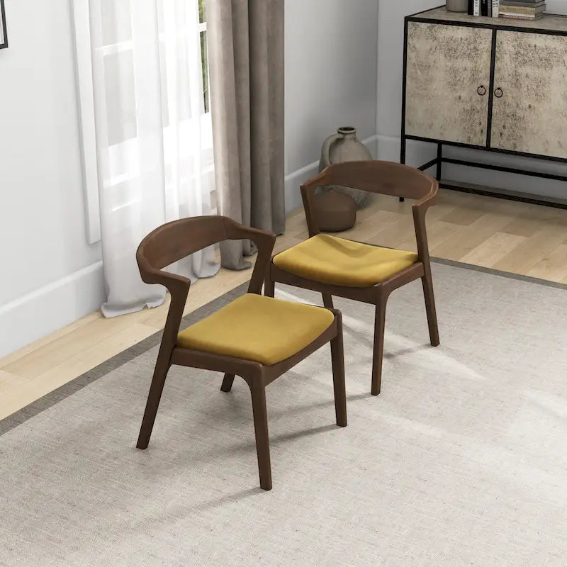 Mid-Century Modern Dining Chair with Solid Wood Frame, Set of 2