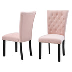 Tufted Velvet Dining Chairs with Chrome Nailhead Trim, Set of 2