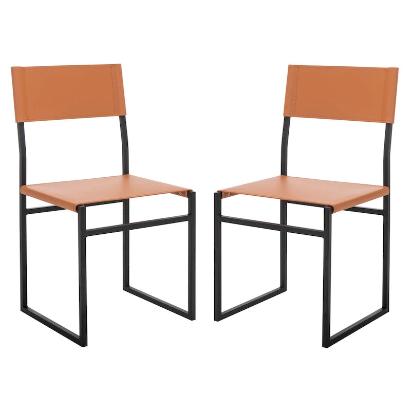 Modern Minimalist Dining Chair with Black Metal Base, Set of 2