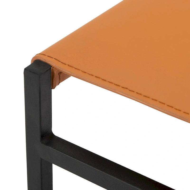 Modern Minimalist Dining Chair with Black Metal Base, Set of 2